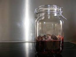 Schlehenlikor Rezept Mit Bild Rezept Schlehenlikor Hausgemachte Schnaps Schlehen