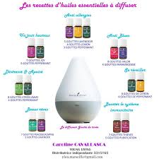 Les Huiles Essentielles Young Living By Caro Diffuser Les Huiles Essentielles Huiles Essentielles Guide Huiles Essentielles Recettes De Diffuseur