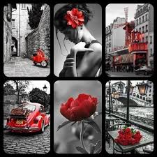 Black And White And Color Photo Collage 