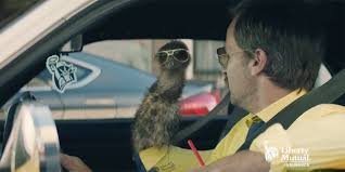 Is liberty mutual insurance worth it? Liberty Mutual S Limu Emu Doug Join Insurance Mascot Game