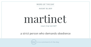 Word Of The Day Martinet Word Of The Day Unusual Words Words To Describe People
