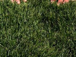 Our best hotels in saint george ut. Sod Farm Shares Tips On How To Avoid Overwatering Ksl Com