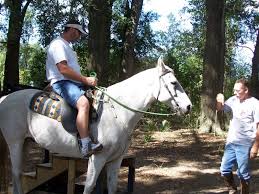Email, text, or call me for more information! Cross Florida Greenway Ocala Buyers Agent