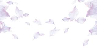 Great news!!!you're in the right place for flower sunshine. Esmeralda Farms Linkedin