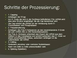 Maybe you would like to learn more about one of these? Joelle Paul Philipp Rna Prozessierung Ppt Video Online Herunterladen