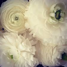 Groovin on a sunday afternoon 100121added 3 days ago. Groovin On A Sunday Afternoon The Paris Apartment