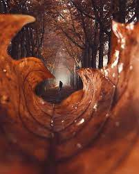 Rustic Creative Location Artsy Photography Autumn Photography Creative Photography Techniques