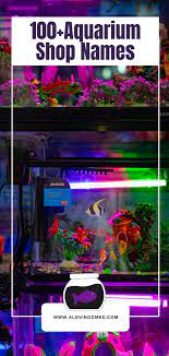 Aquarium Shop Names 100 Best Names For Fish Store Business Aquarium Shop Aquarium Aquarium Store