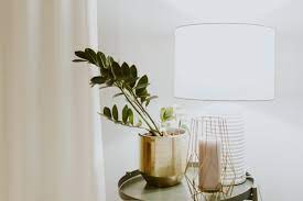 Maybe you would like to learn more about one of these? Growing Indoor Plants With Artificial Light Plant Care Tips And More La Residence