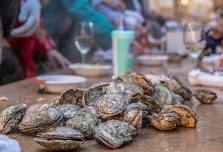 20th Annual Oyster Roast — Historic Rock Hill