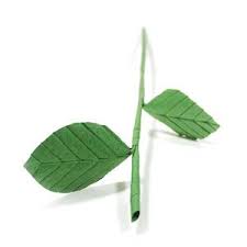 We did not find results for: Hollow Origami Stem Origami Flowers Origami Rose Origami Paper
