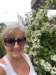 Clematis vine from Albertville, Alabama