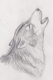 I Draw This Wolf But It Was Thrown Away When I Was Cleaning My Room Wolf Drawing Animal Drawings Sketches Wolf Sketch