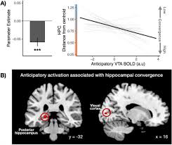 Jun 28, 2021 · neurotransmitters trivia quiz questions! Tuned To Learn An Anticipatory Hippocampal Convergence State Conducive To Memory Formation Revealed During Midbrain Activation Biorxiv