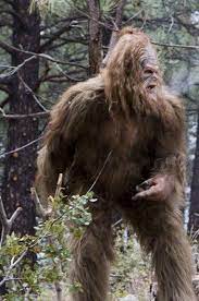 Sasquatch Meme Generator Imgflip