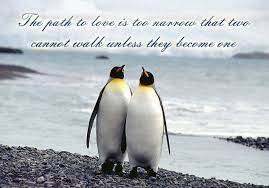 There is nothing in the world that feels as good as falling in love. Penguin Love Quotes Quotesgram Penguin Love Quotes Penguin Quotes Penguin Love
