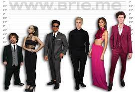 Maybe you would like to learn more about one of these? Shawn Mendes Height Brie