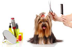 1 Resource For Finding A Pet Groomer Near You Dog Grooming Dog Grooming Scissors Pet Grooming