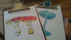 Free printable mushroom coloring pages coloring pages coloring pages. Two Pages From Fungi Fancy The Adult Coloring Book Of Mushroom That I Colored And Illustrated And Self Published Coloringbookspastime