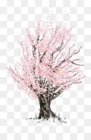 We did not find results for: Cherry Blossom Drawing Png And Cherry Blossom Drawing Transparent Clipart Free Download Cleanpng Kisspng
