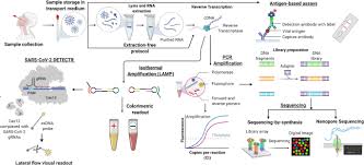 Answers in as fast as. Sars Cov 2 Pandemic A Review Of Molecular Diagnostic Tools Including Sample Collection And Commercial Response With Associated Advantages And Limitations Springerlink