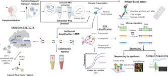 For each question, please record your answer, and what you typed into r to get this answer. Sars Cov 2 Pandemic A Review Of Molecular Diagnostic Tools Including Sample Collection And Commercial Response With Associated Advantages And Limitations Springerlink