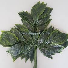 Maybe you would like to learn more about one of these? Jual Daun Mangga Hijau Tua Geret Hijau Tua Hijau Muda Kuning Hijau Muda Diskon Shopee Indonesia