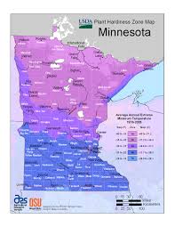 They are widely grown in almost every rose growing nation in the world, including. Plant Hardiness Zones The How Do Gardener