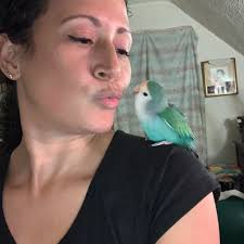 What does 'under construction' mean for a gym?