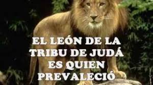 El Leon De La Tribu De Juda Jorge Lozano Alabanza Cristiana Youtube el leon de la tribu de juda jorge