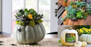 Shop our huge selection · a zillion things home · up to 70% off 15 Diy Pumpkin Planter Ideas For Fall Decorations Balcony Garden Web