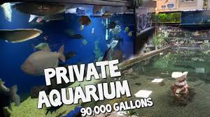 Aquariums The World S Largest Private Home Aquarium Tour Home Aquarium Aquarium Monster Fishing