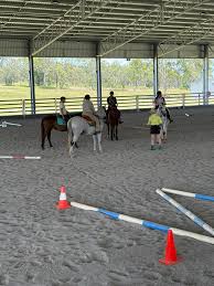 Many thanks to Trish Braithwaite Equestrian for a jam packed weekend of  learning and improving. Your knowledge, humour and gentle delivery has  lifted all the attending members' confidence and was a great
