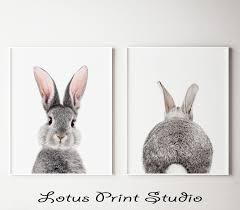 Polish your personal project or design with these bunny ears transparent png images, make it even more personalized and more attractive. Set Of 2 Bunny Prints Nursery Baby Bunny Printable Bunny Download Rabbit Art Rabbit Ears Large Printable Poster Digital Download 208 Plakat Deko
