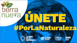 Entrevista con silvia gómez, directora de greenpeace colombia, sobre el día mundial del medio ambiente. Dia Mundial Del Medio Ambiente 2020 Youtube