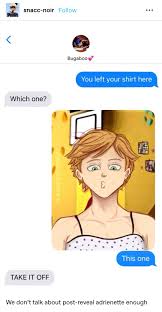 Post Reveal Adrienette Texting Miraculous Ladybug Memes Miraculous Ladybug Comic Miraculous Ladybug Wallpaper