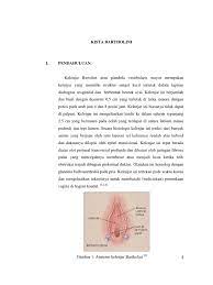 Check spelling or type a new query. Kista Bartholini Fix