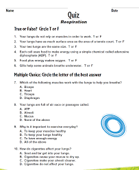 Check spelling or type a new query. Bill Nye Nutrition Video Worksheet Answers Nidecmege