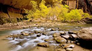 Download and use 30,000+ desktop wallpaper stock photos for free. 50 1080p Laptop Wallpapers On Wallpapersafari