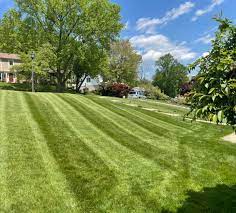 It won't take care of weeds that grow via rooters, but it will greatly decrease the time you spend trying to weed seeded invaders. Local Student Lawn Care Home Facebook
