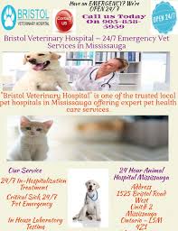 We are open 24 hours a day, 365 days a year for emergency cases. Emergency 24 7 Pet Health Service In Mississauga Visual Ly