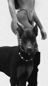 Pin Ot Polzovatelya Jkilby Na Doske Tumblr V 2020 G Doberman Doberman Pincher Sobaki
