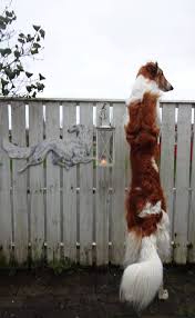 People with this patronus are often flexible characters that are practical thinkers, perceptive and often notice things that others overlook. 16 Borzoi S Are My Patronus Ideas Borzoi Borzoi Dog Beautiful Dogs