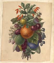 Chromo Bouquet De Fruits Collection Bfm Limoges Image Publicitaire Chromos Limousin