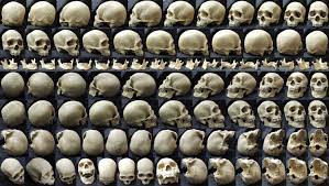 Pin On Anatomy Reference