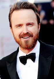 Heisenberg Chronicles