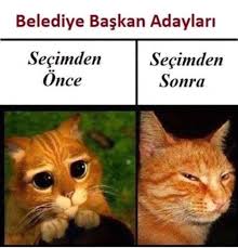 Kedi Komik Komikhayvanlar Komikkediler Komedi Instacat Instadaily Instagram Komiksahneler Caps Cats Cats Funny Pictures Funny Laugh Out Loud
