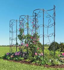 Diy Rebar Trellis Google Search Obelisk Trellis Garden Obelisk Arbors Trellis