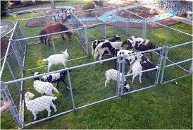 We are located in winder, ga. 7 Petting Zoo Ideas Zoo Zoo Animals Mobile Petting Zoo