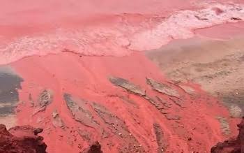 Blood rain' turns Persian Gulf red